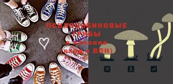 мяу мяу кристалл Верея