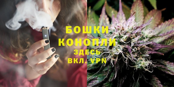 твердый Каменка