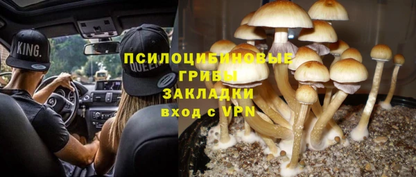 метадон Каменногорск