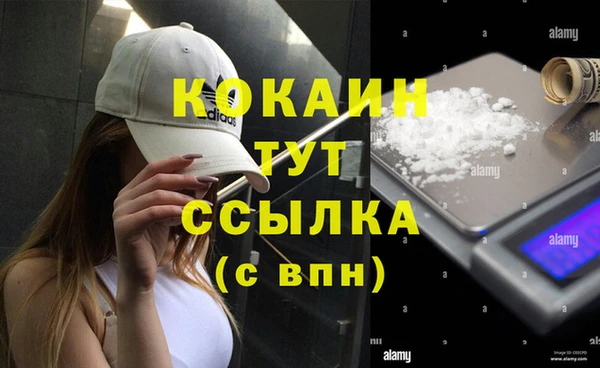 твердый Каменка