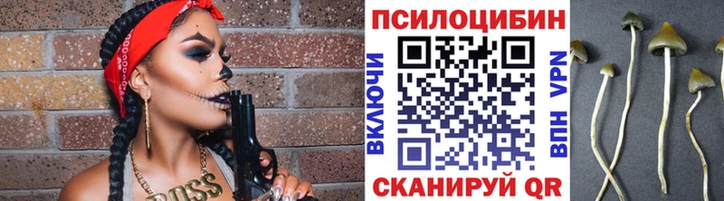 МЕГА зеркало купить наркотик Троицк Псилоцибиновые грибы ЛСД